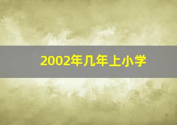 2002年几年上小学