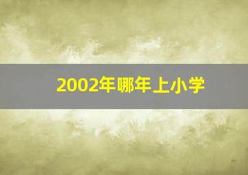 2002年哪年上小学