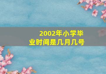 2002年小学毕业时间是几月几号