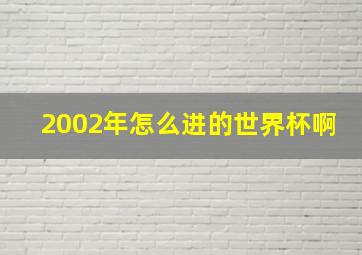 2002年怎么进的世界杯啊