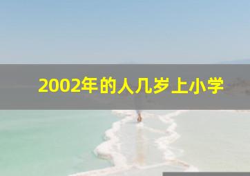 2002年的人几岁上小学