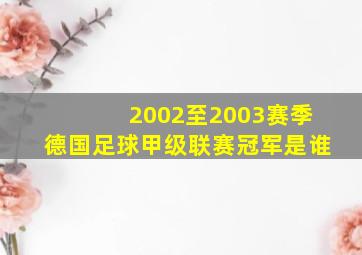 2002至2003赛季德国足球甲级联赛冠军是谁