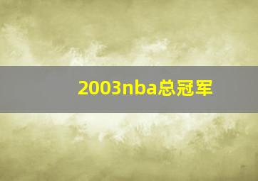 2003nba总冠军