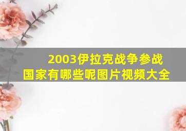 2003伊拉克战争参战国家有哪些呢图片视频大全