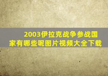 2003伊拉克战争参战国家有哪些呢图片视频大全下载