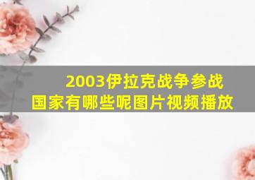 2003伊拉克战争参战国家有哪些呢图片视频播放