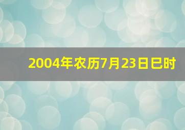 2004年农历7月23日巳时