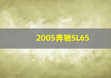 2005奔驰SL65