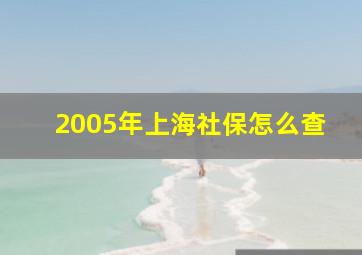 2005年上海社保怎么查