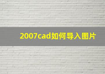 2007cad如何导入图片