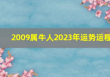 2009属牛人2023年运势运程