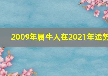 2009年属牛人在2021年运势