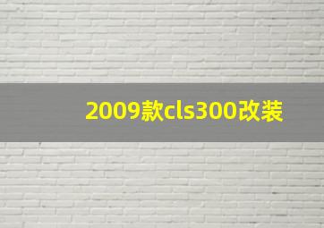 2009款cls300改装