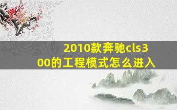 2010款奔驰cls300的工程模式怎么进入