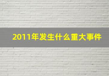 2011年发生什么重大事件