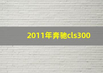 2011年奔驰cls300