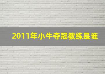 2011年小牛夺冠教练是谁