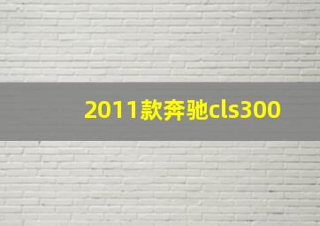 2011款奔驰cls300