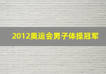 2012奥运会男子体操冠军