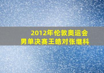 2012年伦敦奥运会男单决赛王皓对张继科