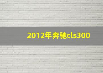 2012年奔驰cls300