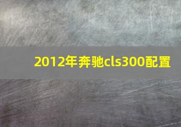 2012年奔驰cls300配置