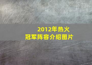 2012年热火冠军阵容介绍图片