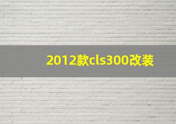 2012款cls300改装