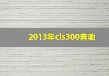 2013年cls300奔驰