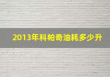 2013年科帕奇油耗多少升