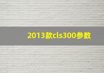 2013款cls300参数