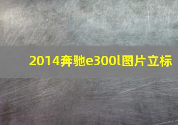 2014奔驰e300l图片立标