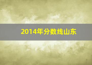 2014年分数线山东