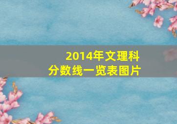 2014年文理科分数线一览表图片