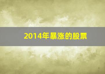 2014年暴涨的股票