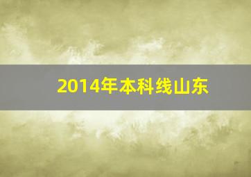 2014年本科线山东