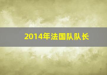 2014年法国队队长