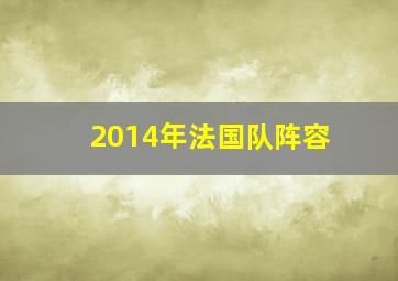 2014年法国队阵容