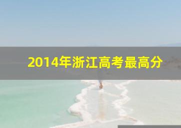 2014年浙江高考最高分