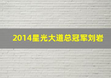 2014星光大道总冠军刘岩