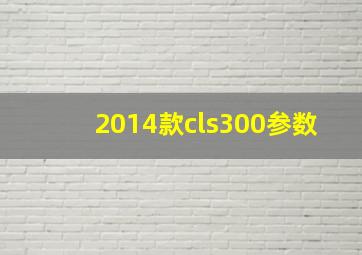 2014款cls300参数