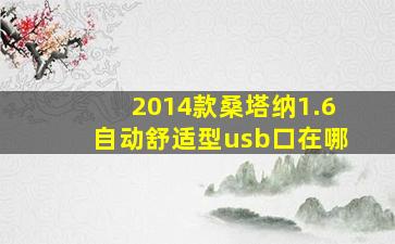 2014款桑塔纳1.6自动舒适型usb口在哪