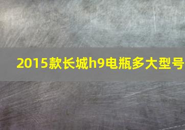 2015款长城h9电瓶多大型号