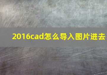 2016cad怎么导入图片进去