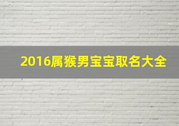 2016属猴男宝宝取名大全