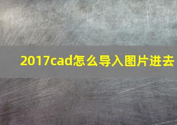 2017cad怎么导入图片进去