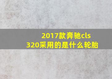 2017款奔驰cls320采用的是什么轮胎