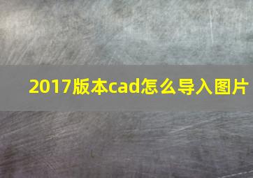 2017版本cad怎么导入图片