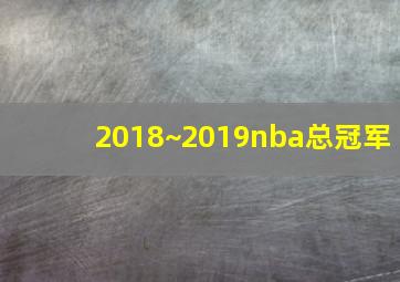 2018~2019nba总冠军