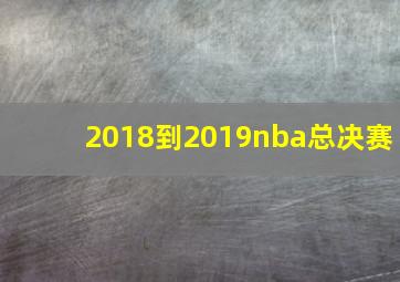 2018到2019nba总决赛